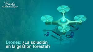Manejo de la Plataforma Moodle