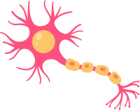 Cuando el cerebro y las gónadas hacen equipo