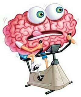 El fascinante mundo de las neuronas y el cerebro humano. Procesos Psicológicos