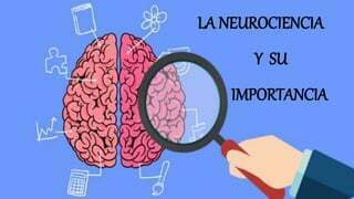 El fascinante mundo de las neuronas y el cerebro humano. Procesos Psicológicos