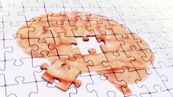 El fascinante mundo de las neuronas y el cerebro humano. Procesos Psicológicos