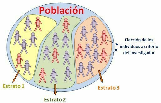 Técnicas de Investigación y Muestreo