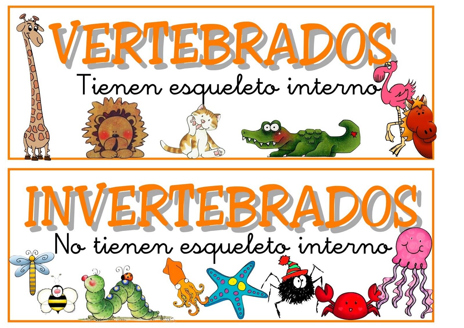 ¿Qué tipos de animales conoces? ¿Cómo los podríamos clasificar?”