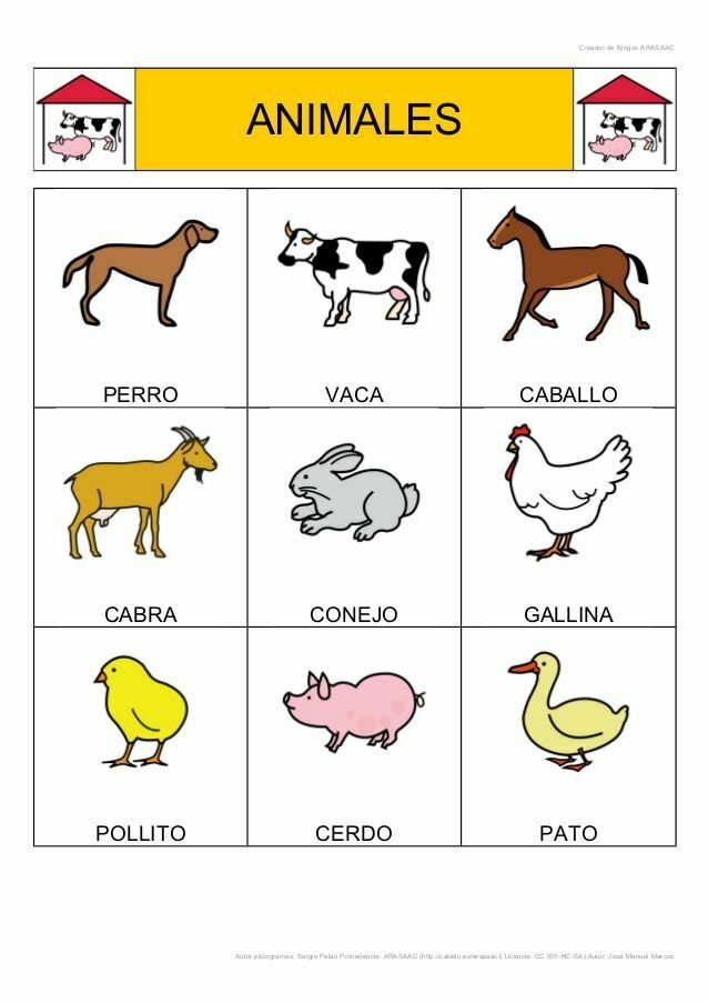 ¿Todos estos animales seran vertebrados ?