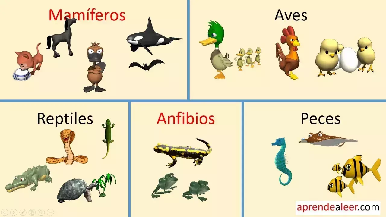 Clasificación de los Animales Vertebrados e Invertebrados Animales Vertebrados Tienen columna vertebral y esqueleto interno. Se dividen e...