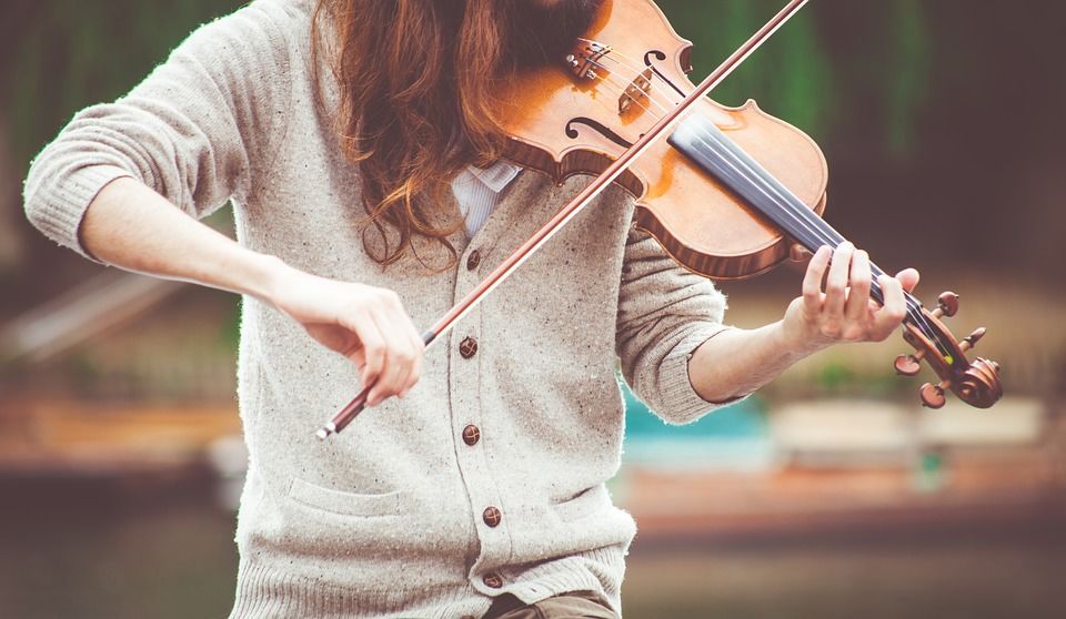 VIOLINIST /ˌvaɪəˈlɪn.ɪst/