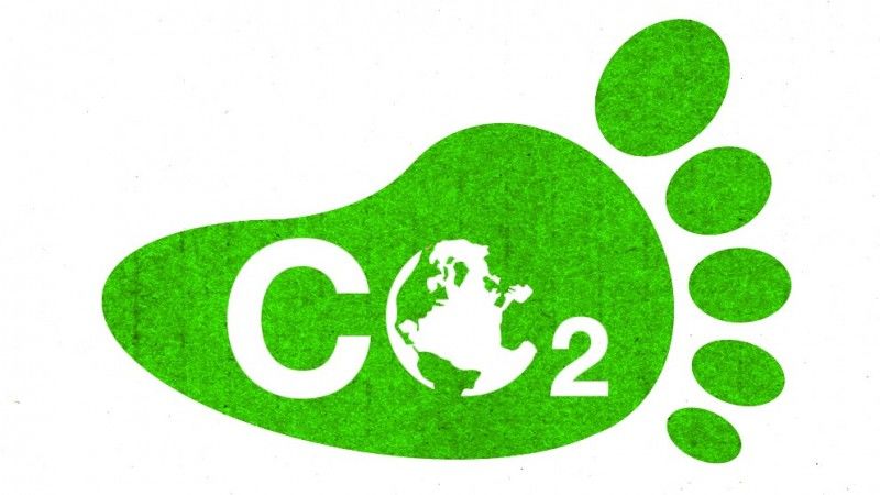 MATÉRIA E ENERGIA NOS ECOSSISTEMAS