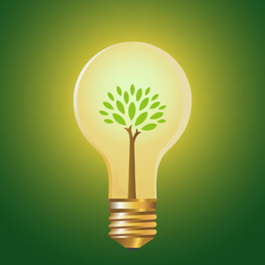 MATÉRIA E ENERGIA NOS ECOSSISTEMAS