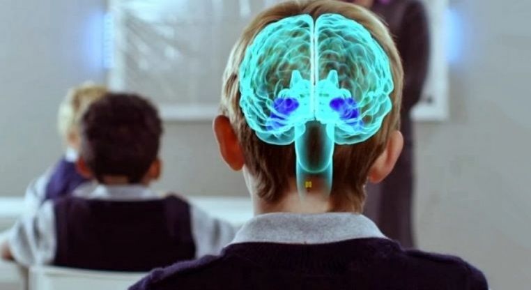 Glosario de Neuroeducación