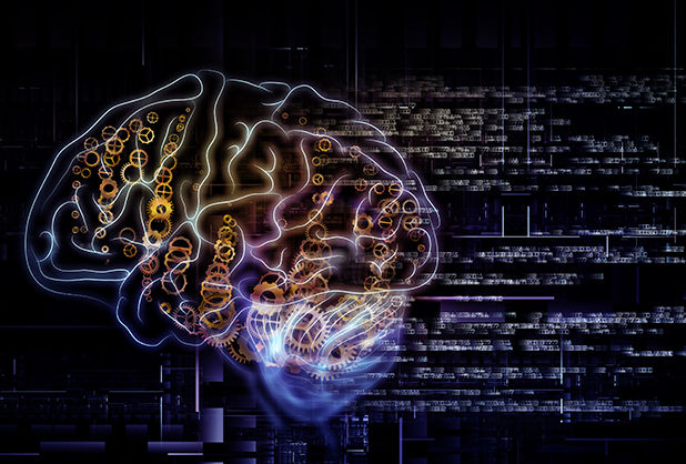 2. Neurociencia