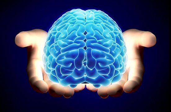 6. Cerebro