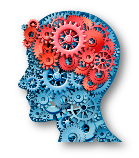 16. Procesos neurocognitivos