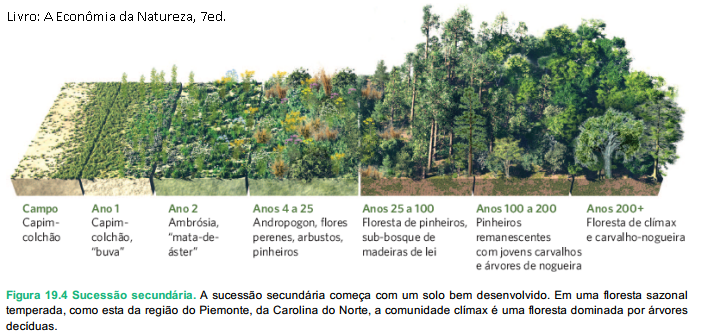 Resumo: Aula 13 – Sucessão ecológica