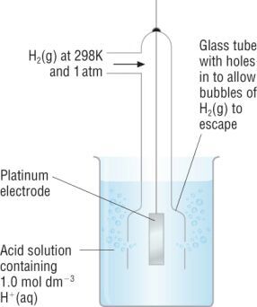What is the hydrogen half cell?