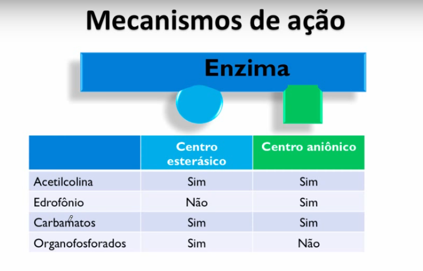 Agentes anticolinesterásicos (agonistas indiretos)