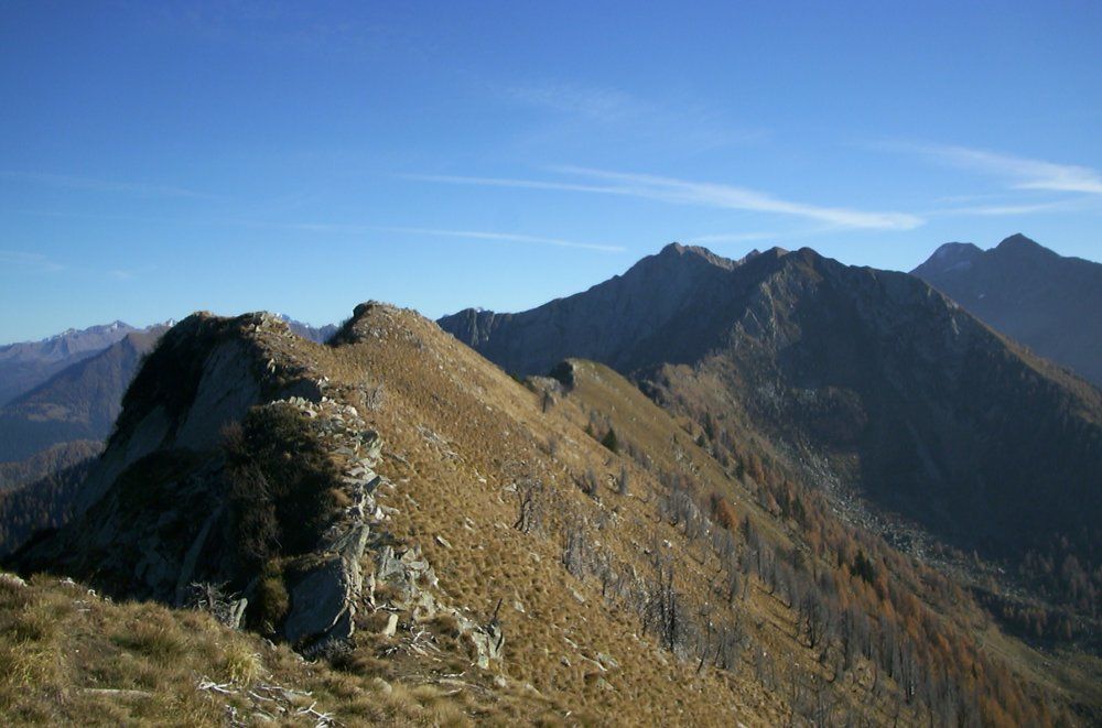 Crinale