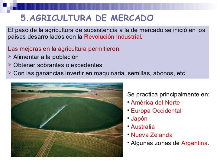 Sistemas agrarios avanzados