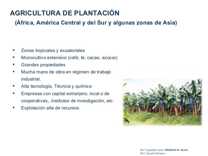 Sistemas agrarios avanzados