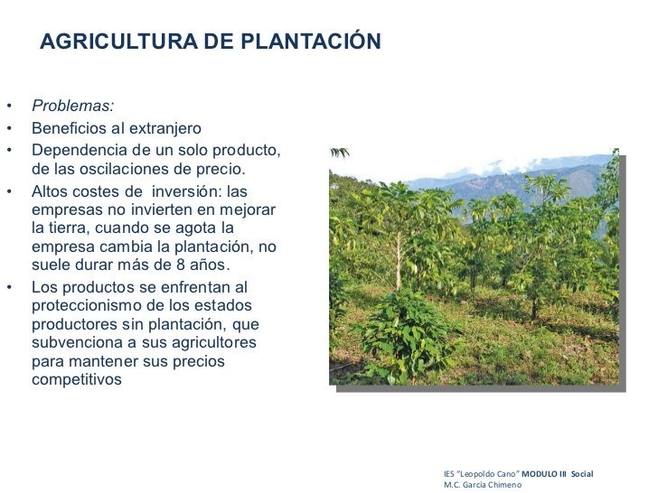 Sistemas agrarios avanzados
