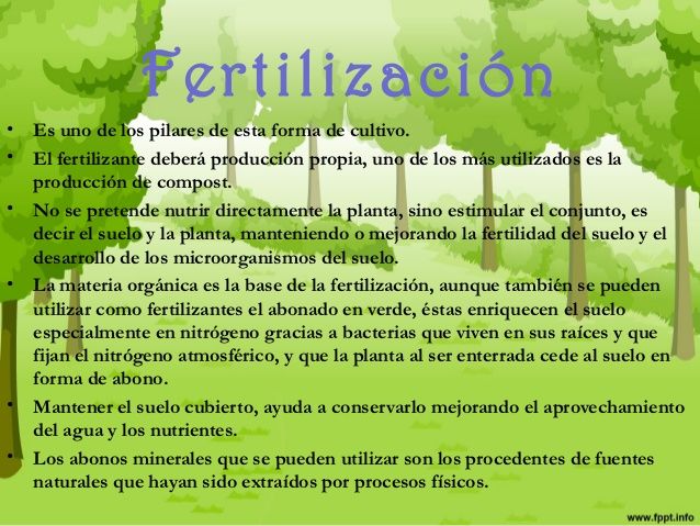Sistemas agrarios avanzados