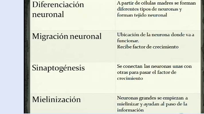 EMBRIOLOGIA SISTEMA NERVIOSO