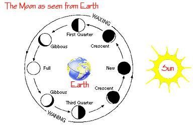 Science