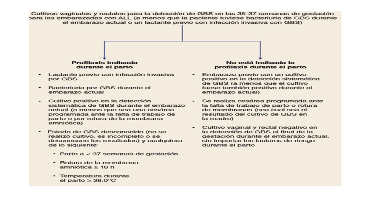 Sesión 29: Infecciones y Enfermedades de transmisión sexual