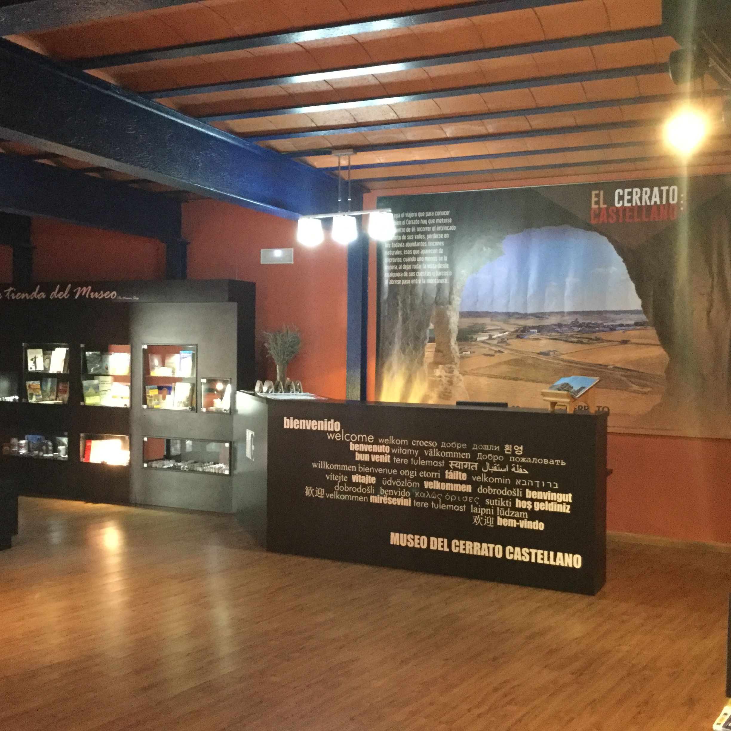 MUSEOS, TECNOLOGÍA E INNOVACIÓN EDUCATIVA