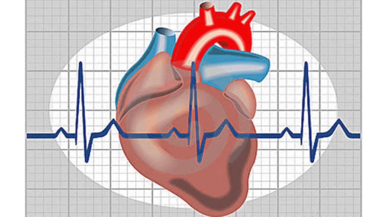 Sesión 25: Enfermedad del corazón, pulmón y riñón durante el embarazo.