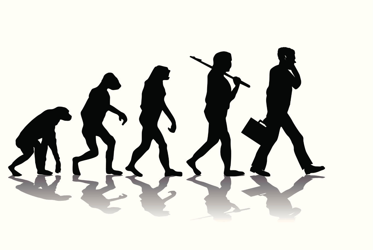 CIENCIAS AUXILIARES DE LA ECOLOGÍA