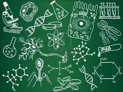CIENCIAS AUXILIARES DE LA ECOLOGÍA
