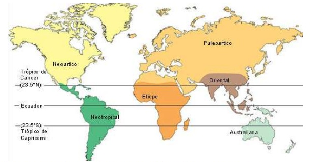 CIENCIAS AUXILIARES DE LA ECOLOGIA