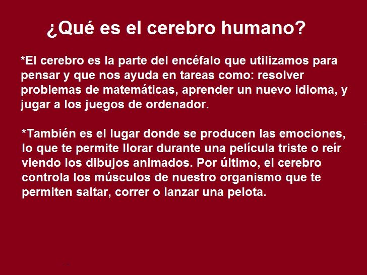 Diapositivas del Cerebro Humano - Recuperativo 25%