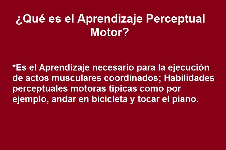 Diapositivas del Cerebro Humano - Recuperativo 25%
