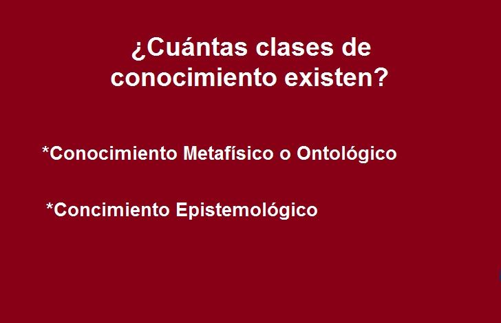 Diapositivas del Cerebro Humano - Recuperativo 25%