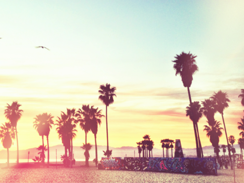 Summer