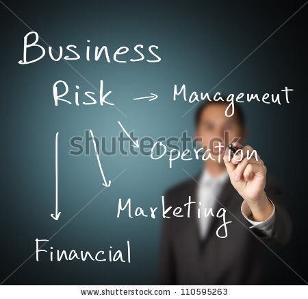 Business Risk