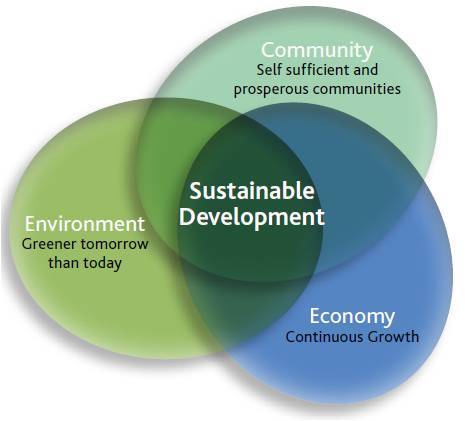 Sustainable Growth Model