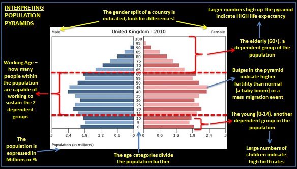 population pyramids