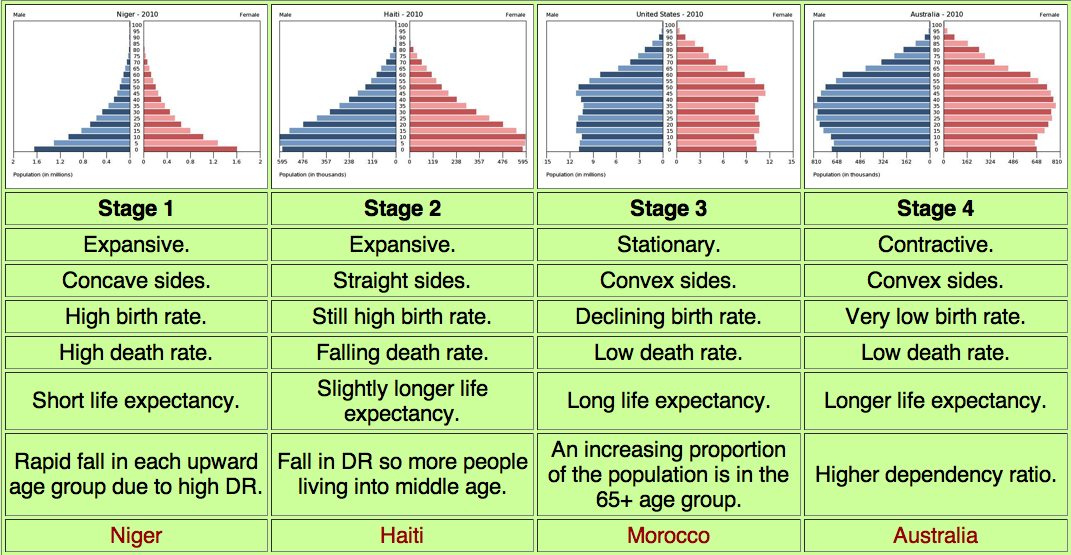 stages 1 and 2 of population pyramids
