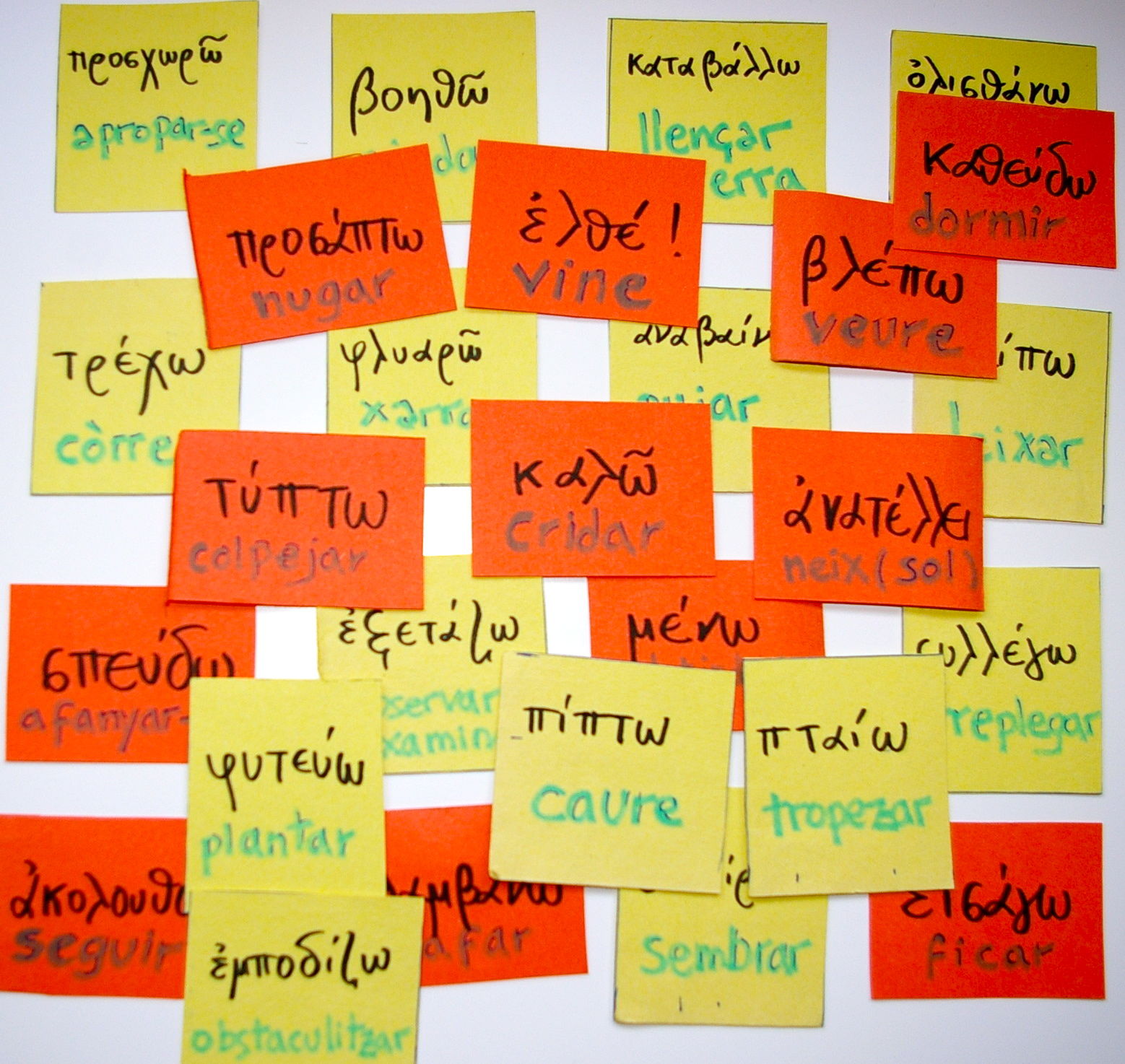 vocabulary chip