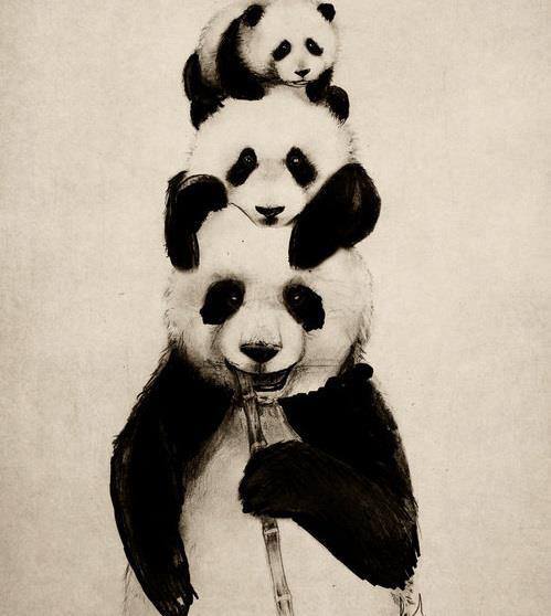 PANDA