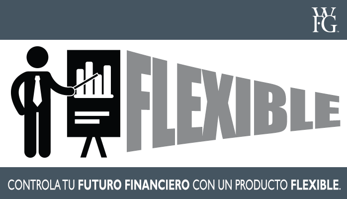 El desarrollo del proceso de industrialización en México 1960-1982.