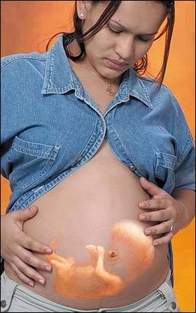 El Inicio De La Vida Genética Y Desarrollo Prenatal