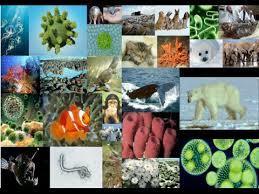 Image for question 2