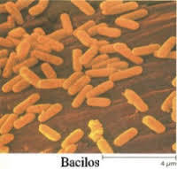 Image for question 5