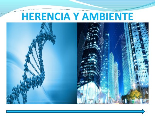 El Inicio De La Vida Genética Y Desarrollo Prenatal