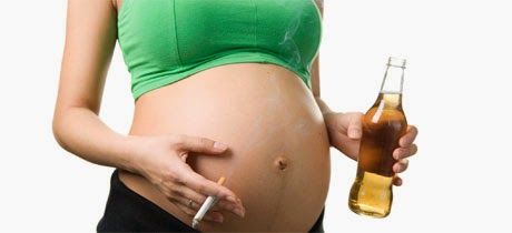 El Inicio De La Vida Genética Y Desarrollo Prenatal