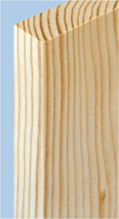 Come son fatte le NERVATURE del legno?