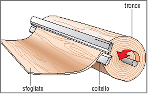 PANNELLI di SFOGLIATI: cosa sono?
